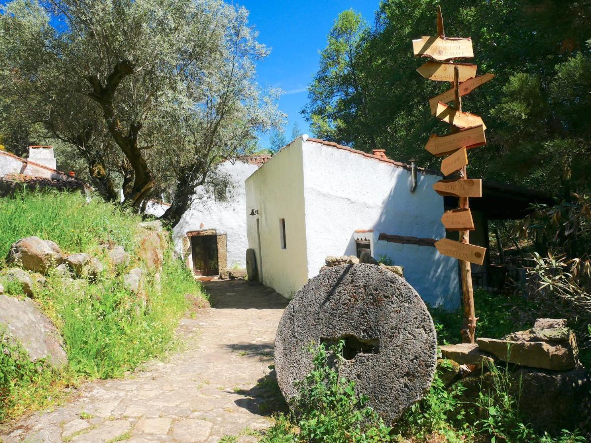 Serra Vida - A Place Of Presence Santo Antonio das Areias Exterior photo