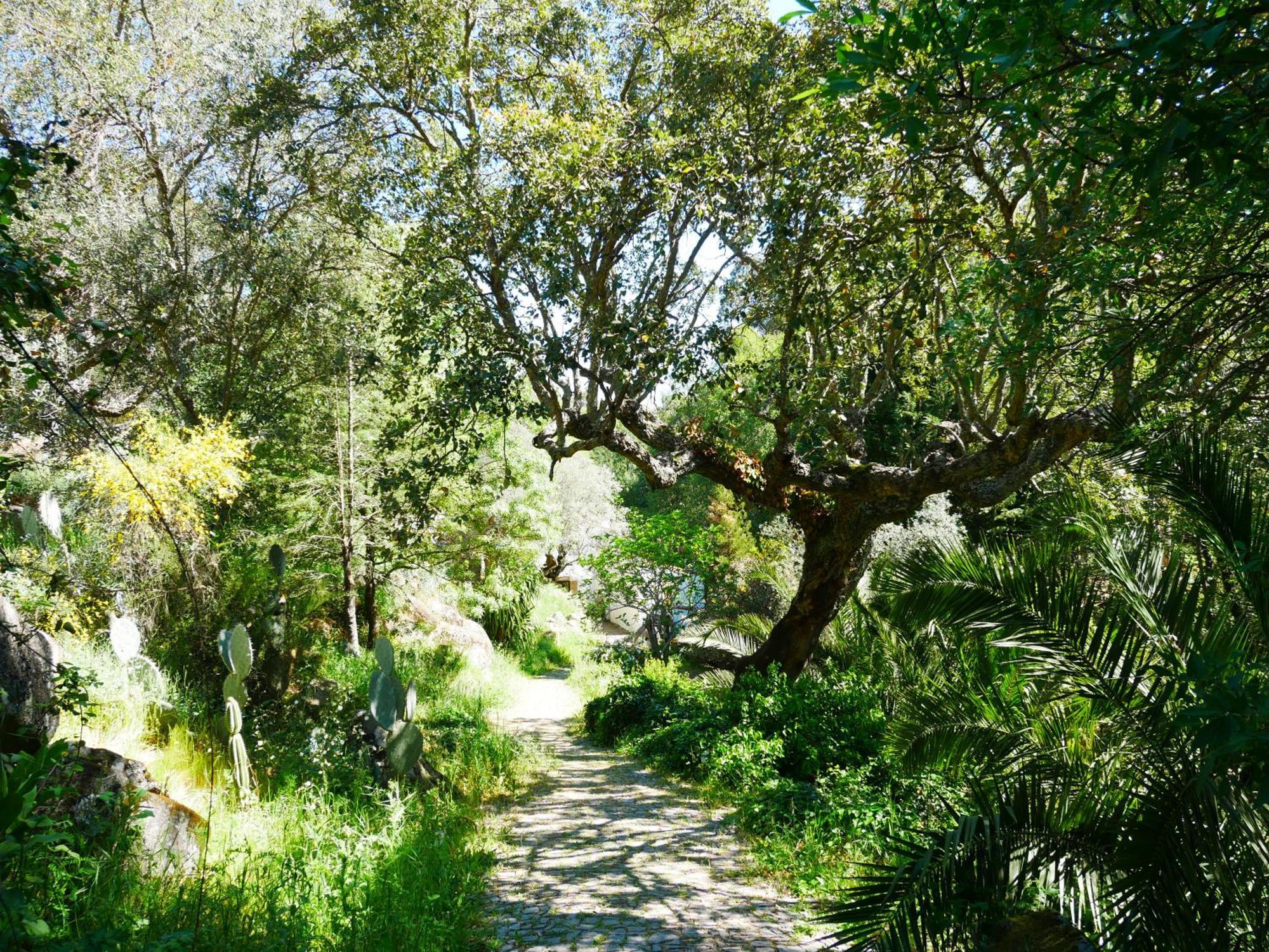 Serra Vida - A Place Of Presence Santo Antonio das Areias Exterior photo
